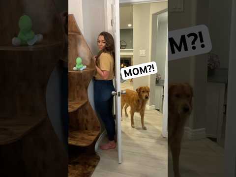 How I Broke My Dogs BRAIN! 🧠😂