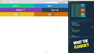 How Flexbox's flex-basis and wrapping work together! - Tutorial 12 of 20 💪