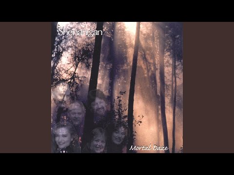 Le Violin Accorde Comme Une Viole/La Bastringue/Spootiskerry (re)