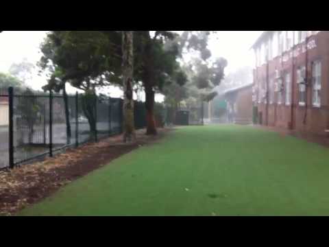 Bit of hail