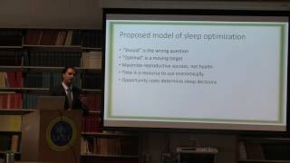 "Sleep  as an Evolved Behavior: Ecological Opportunity Costs and Sleep Optimization"