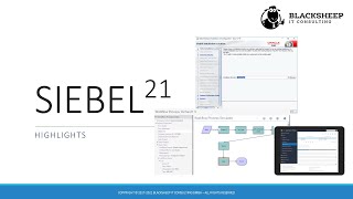 Siebel CRM 21 Highlights Reel