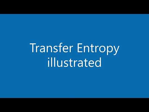 Transfer Entropy Illustrated