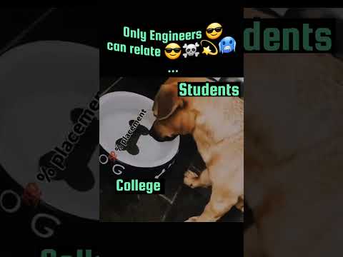 "100% Placement... in Dreams? 😂 | How Colleges Fool You with Fake Ads!"