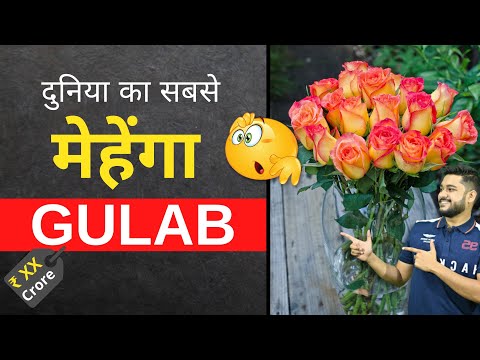 Dunia ka sabse mehenga Gulab | Facts |#shorts #facts