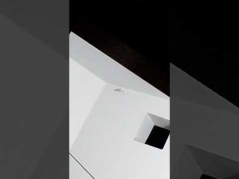 #lizard #viralvideo #sgortsvideo #feedshorts