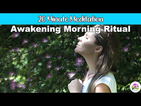 20 Minute Meditation | Morning Awakening Meditation, Clarity, Stability, Positive Energy
