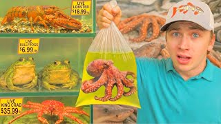 I Saved Animals From a Foreign Food Market!