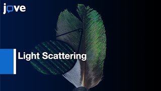 Biological Material Light Scattering Measurement | Protocol Preview