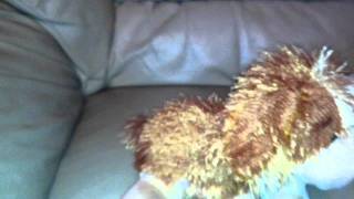2 webkinz code tags but no plushes