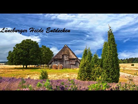Lüneburger Heide: Dein Naturparadies entdecken! #natur #wissenschaft #abenteuer
