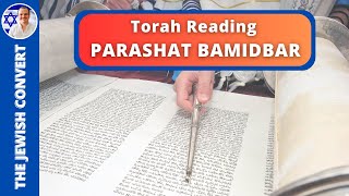 Torah Reading | Parashat BAMIDBAR in Hebrew with English Translation