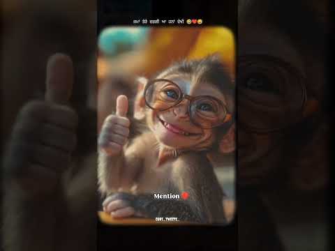 Monkey #automobile #facebook #bollywoodactor #instagram #indianactor #tiktok #baby #farming #twitter