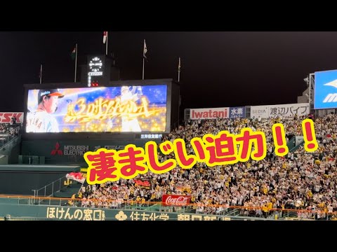 豊田ヒット→サヨナラチャンス！大山チャンテで大盛り上がり！🔥