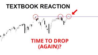 Technical Analysis of Stocks: SPY / QQQ / NVDA / TSLA / AMD / PLTR / META / AVGO