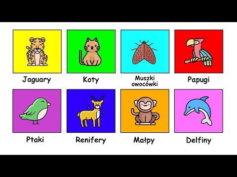 Animals That Love Getting High