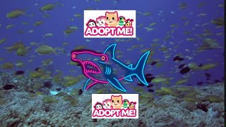 #Adoptme's Epic Neon Transformation Hammerhead Shark