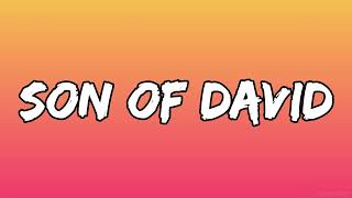 Son Of David lyrics Audio   Hillsong Worship lyrics Rehoboth Lyrics