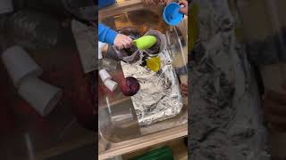 Collaborative Work in Our Peppermints Classroom