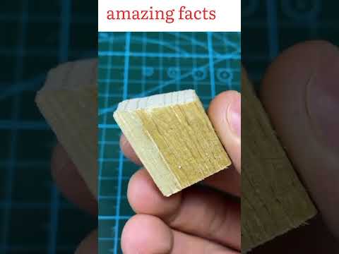 Amazing facts #youtubeshorts #amazing