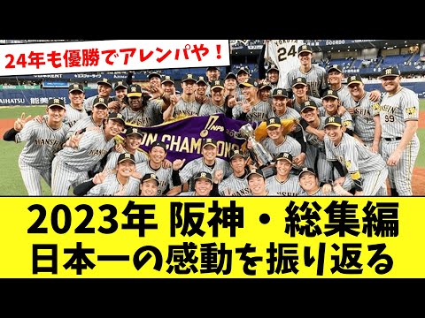 【阪神・総集編】2023年シーズン前～優勝までをまとめてみたwww【作業用】