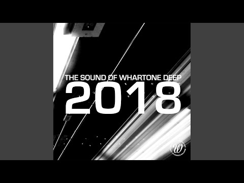 Chasing Silence (Sean Sines Remix)
