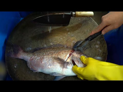Korea food - fresh sea bream , sashimi of red sea bream