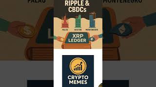 CBCDs.... What Are They? #Crypto #Blockchain #CryptoEducation #Bitcoin #Ethereum #CryptoShorts #Web3