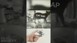 cats vs drones compilation part 2! #tinywhoop