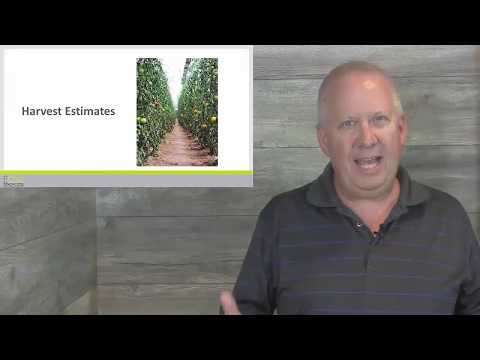 Grower Management - Harvest Estimates  - Course Preview