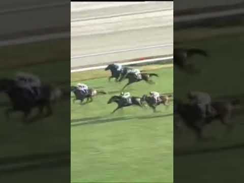 1999年　菊花賞　ナリタトップロード