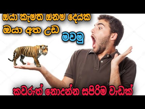 හැමෝම හොයන AR රහස් , AR Apps And Tricks 2021 (Google) | sinhala  Wijeboy