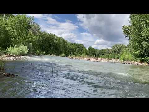 Big Wood River (mid June) #Shorts