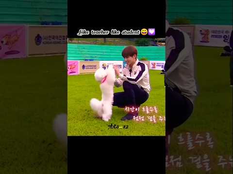 Jk's perfect traning to miri..!🐬🐰#jungkook #7bts_12#bts #dog #btsshorts #stutas #jk #trending #army