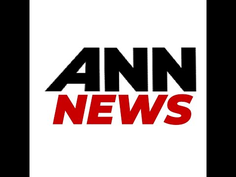 Welcome to ANN NFT News! | Channel Intro