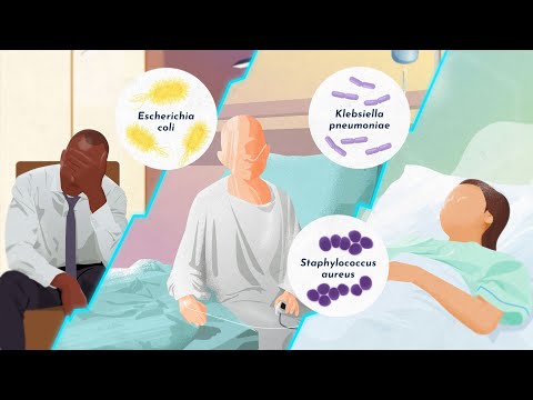 AMR & One Health: Part 3 – Bacterial AMR