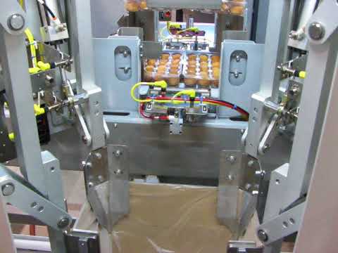 Donut Case Packer
