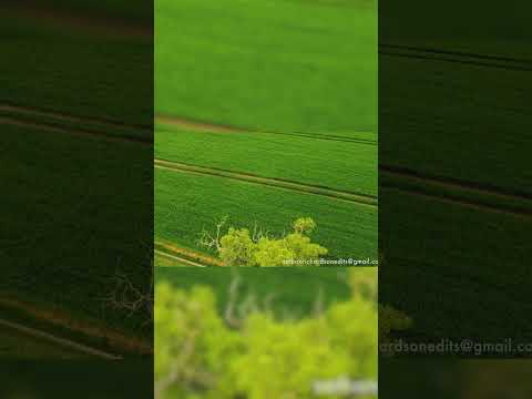 Save Bengeo Field - 4K Drone Footage - 2023