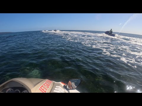Jet Ski Safari at Dunsborough