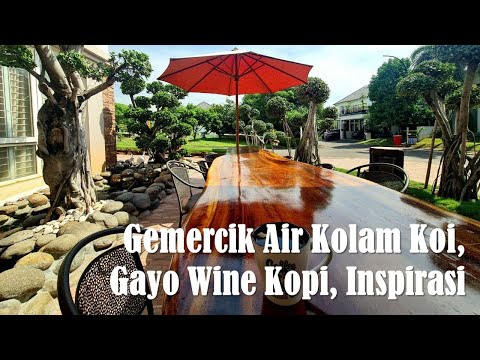 Suara Gemercik Air Kolam Ikan Koi, Tenangkan Hati, dan Seduh Kopi Gayo Wine untuk Inspirasi Pagi