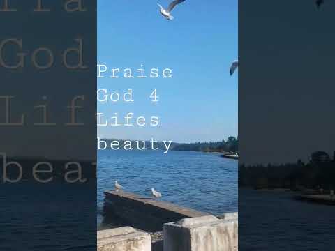 Homeless in Seattle.                 #homeless #blessed #stillworking #jesus #subscribe
