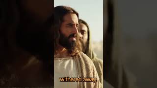 The Moment Jesus Cursed the Fig Tree