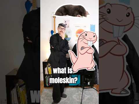 What is moleskin