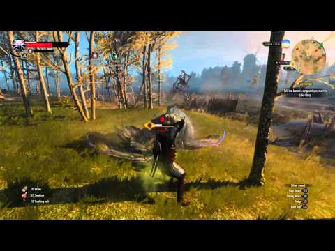 The Witcher 3: Dowry Quest Basilisk Fight