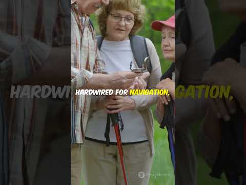 The Human Brain's Secret Compass! 🧭🧠