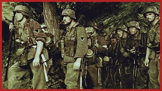 Inside a German Infantry Column: The Eastern Front, Summer of 1941 | Operation Barbarossa
