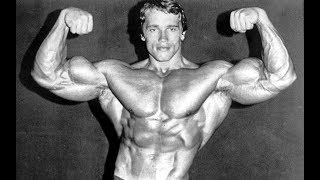 ARNOLD - TRAINING ETHICS