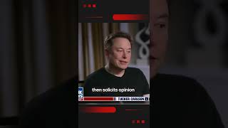 Regulating AI: Navigating the Need for Oversight | Elon Musk's Perspective