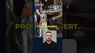 Programmer Memes Explained Part 1 #programming #softwaredevelopment #computerscience