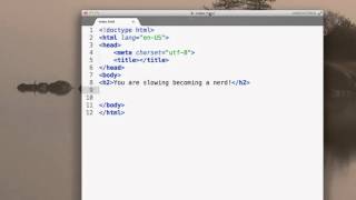Ch1 lesson 2 - first look at HTML code